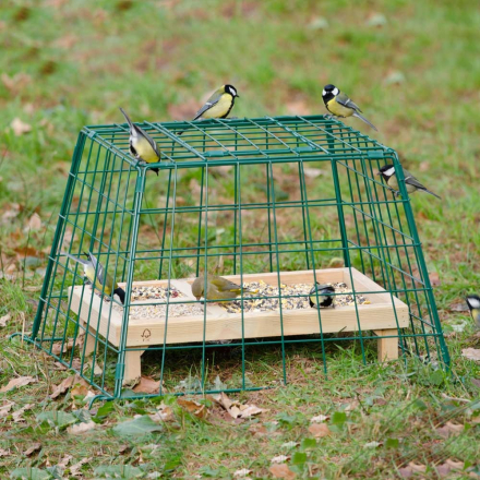 Schutzkäfig schwarz - grosse Maschen